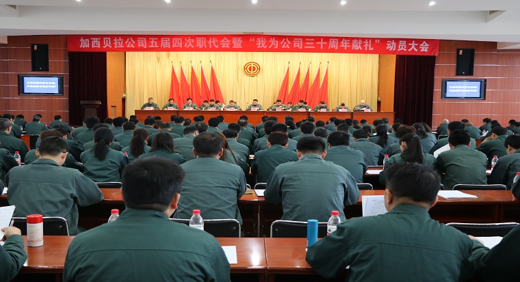 1521444056327100.jpg 可用IMG_1880.jpg